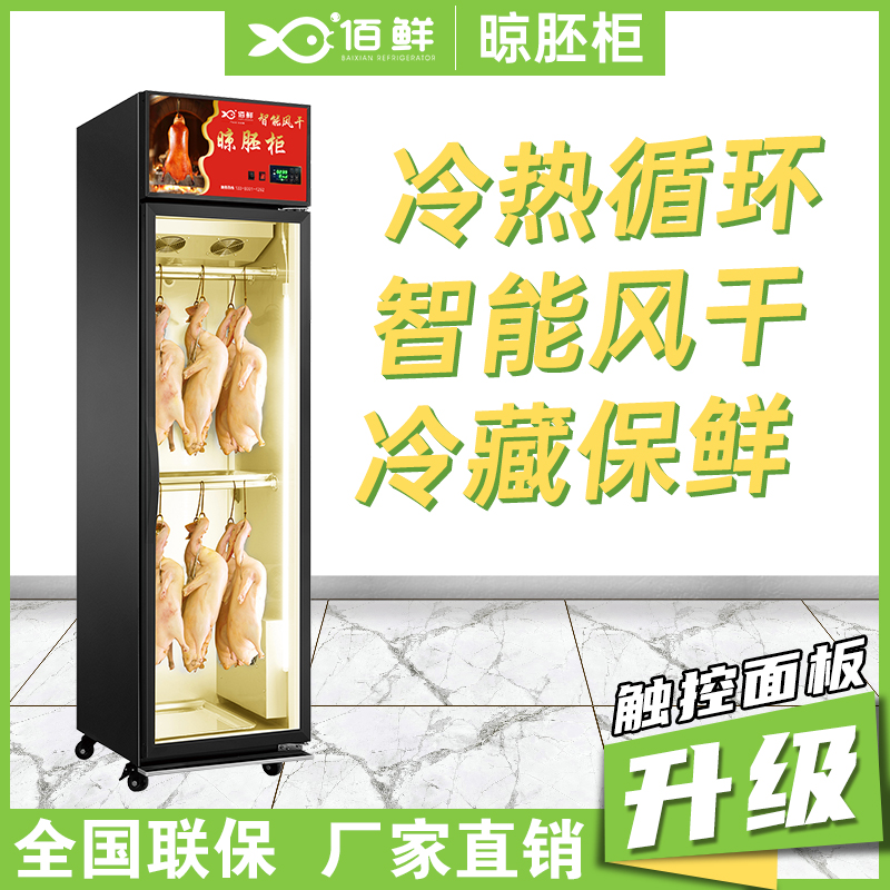 单门小型风干吹鸭柜