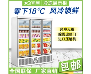三门汤圆水饺冷冻展示柜