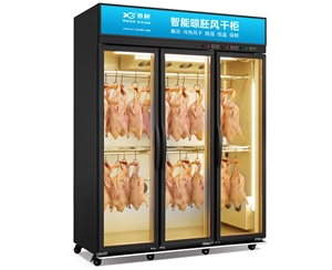 经济款挂鸭晾胚柜 挂肉风干柜 冷藏挂肉保鲜柜