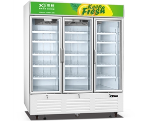 立式冷冻展示柜 饺子汤圆肉丸立式冷冻展示柜 雪糕冰淇淋立式冷冻展示柜